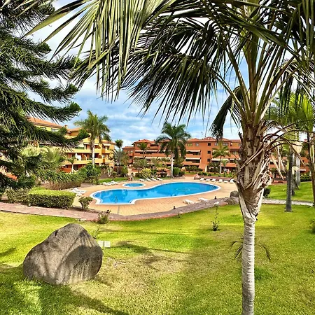 My Dream Apartamento